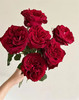 肯尼亚鲜花rouge royale 皇家胭脂花园玫瑰花6支 商品缩略图0