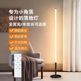 极简落地灯ins墙角简约轻奢卧室床头灯护眼起夜led创意遥控氛围灯