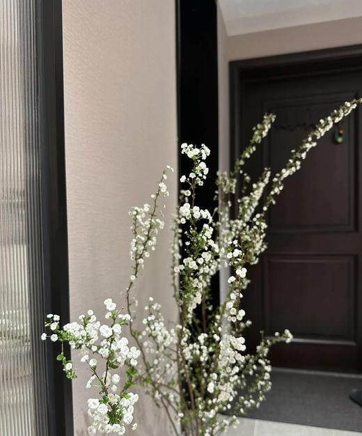 【开花特惠】雪柳花 重瓣 约 6-8 支/扎 商品图2