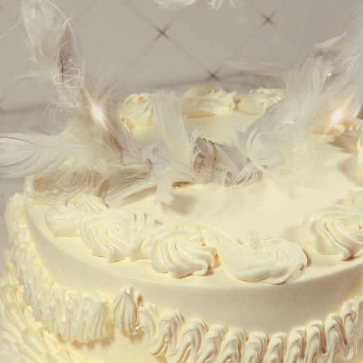 【芝心会员2升3磅兑换专属】-3磅爱心羽毛，用券立减100元 商品图2