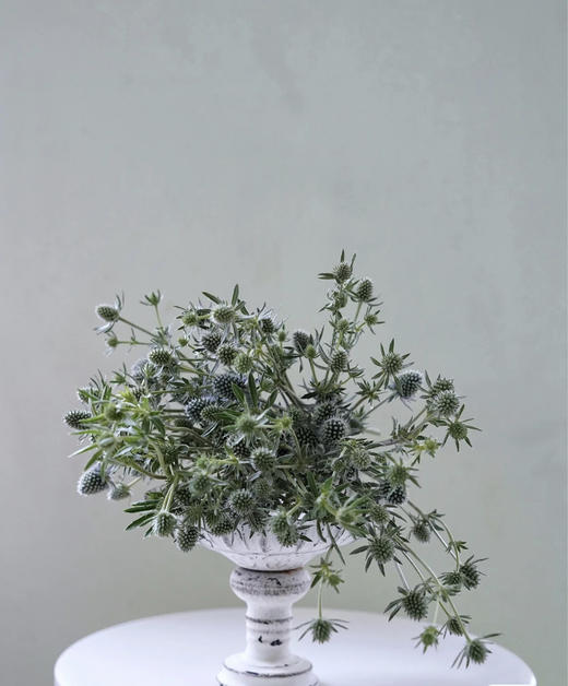 【等待与守候】小刺芹（ 情人果/爱情果） 扎 商品图1