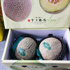 蜜纹牛3蜜瓜 商品缩略图2
