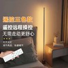 极简落地灯ins墙角简约轻奢卧室床头灯护眼起夜led创意遥控氛围灯 商品缩略图2