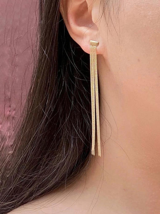 AWU｜NE-024 Tassel Earrings [ 流苏 耳环 14K金] 商品图5