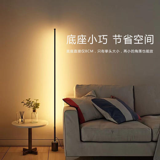 极简落地灯ins墙角简约轻奢卧室床头灯护眼起夜led创意遥控氛围灯 商品图8