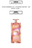 Lancome兰蔻花蜜偶像女士香水25-50-100ml EDP浓香水 花香调 商品缩略图0