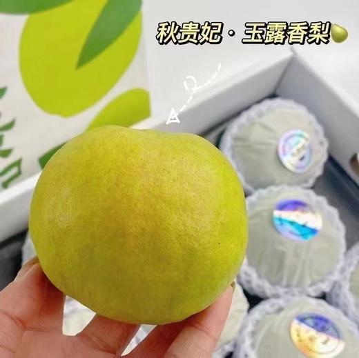 玉露香梨🍐（8个装） 商品图1