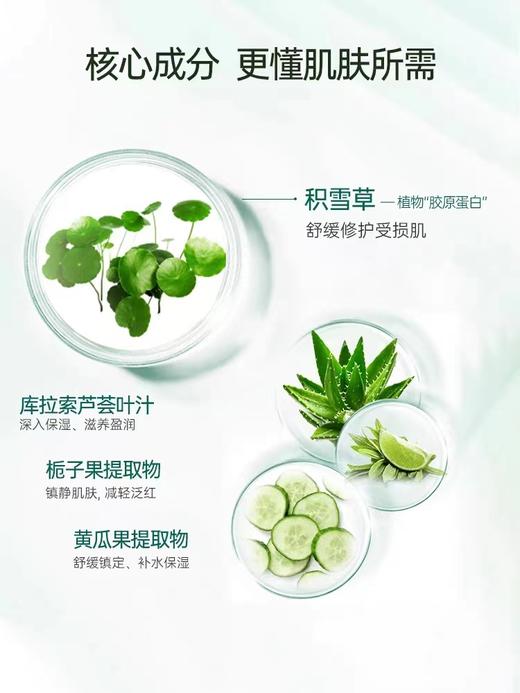斐思妮积雪草面膜绿膜1盒#2盒 商品图3