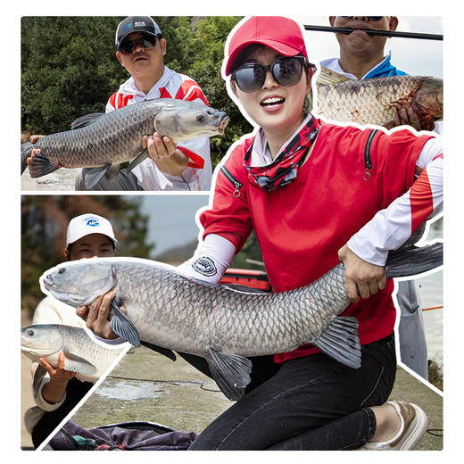 佳钓尼大物子线双钩绑好套装成品青鱼钩伊势尼巨物钩加强子线双钩 商品图3