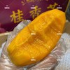 海南桂香芒🥭（5斤装） 商品缩略图1