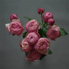 肯尼亚Silva Pink樱桃小丸子多头玫瑰花5支 商品缩略图7