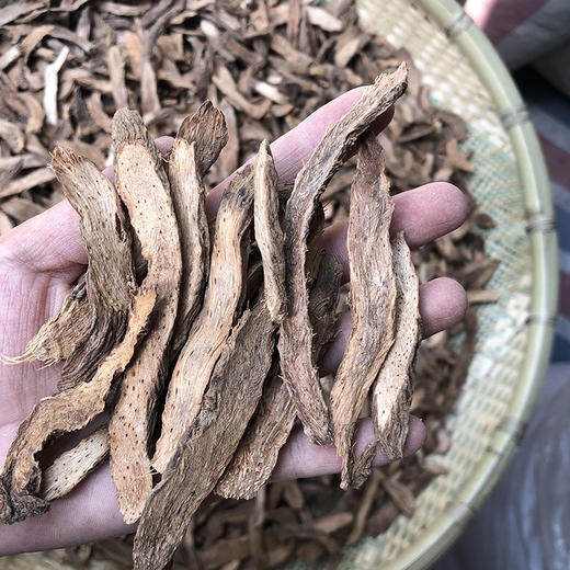 千年健 商品图3