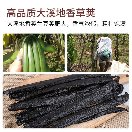 大溪地香草荚烘焙用马达加斯加天然香子兰豆荚籽15g/根20-24厘米 商品图3