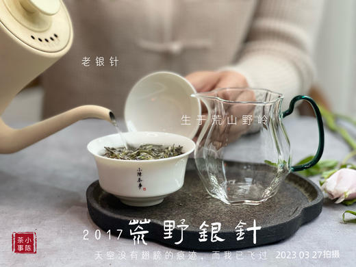 【会员特供】2017荒野银针，悠长岁月的馈赠之物 商品图9