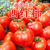 2023【新疆】普罗旺斯沙瓤西红柿（节假日不发） 商品缩略图0