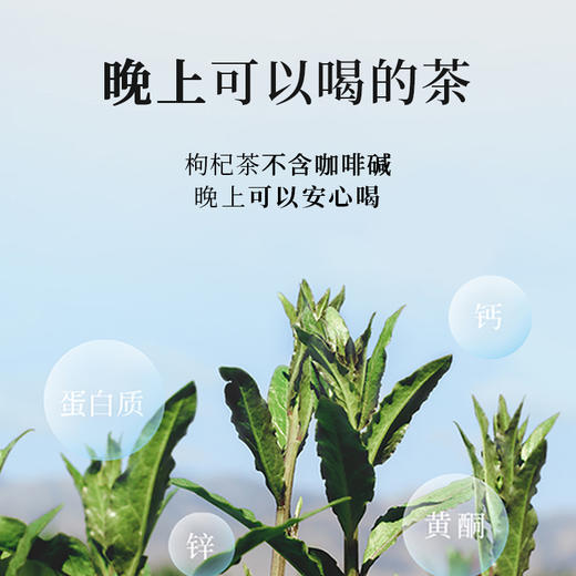 54g月上兰山枸杞芽茶 商品图4