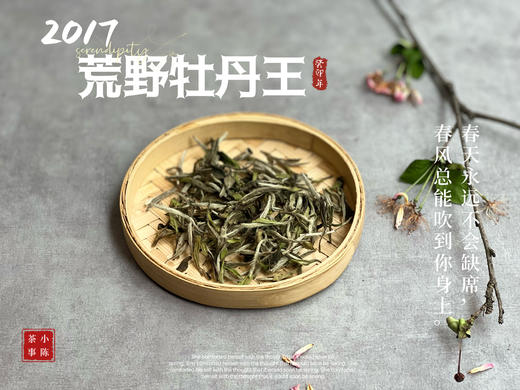 【会员特供】6年陈2017荒野牡丹王香远益清，亭亭静植，时隔多年再次出炉 商品图0