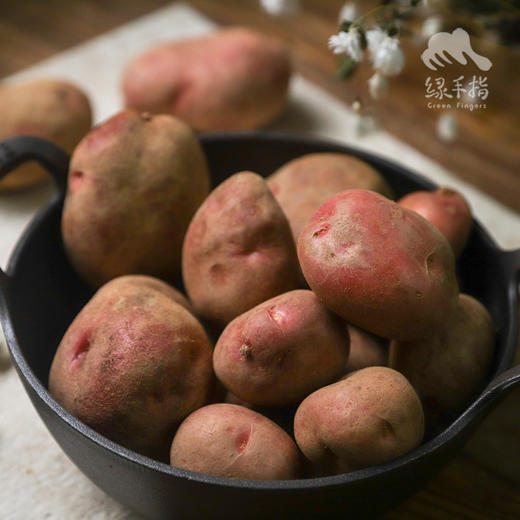 生态云南土豆 （红皮）| 合作生产 *Ecological Potatoes (Red Skin) | Coproduction 商品图5