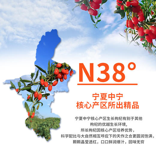 【PICC承保！可以喝的枸杞】开袋即饮、鲜榨枸杞、枸杞原浆宁夏中宁枸杞汁鲜果鲜榨枸杞原液家庭装210mL健康 商品图2