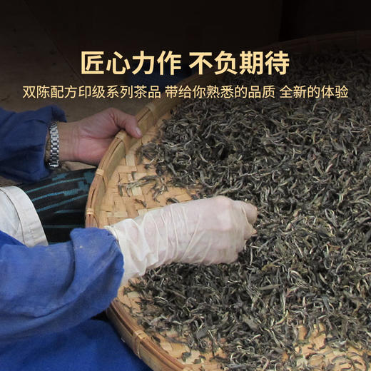 2022年红印圆茶生茶357g饼茶 商品图4