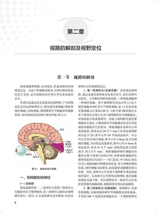 儿童视神经疾病 韦企平 施维 视神经视网膜组织胚胎 视路解剖 临床常见疾病 眼科医生研究生等参考书 人民卫生出版社9787117344494 商品图3
