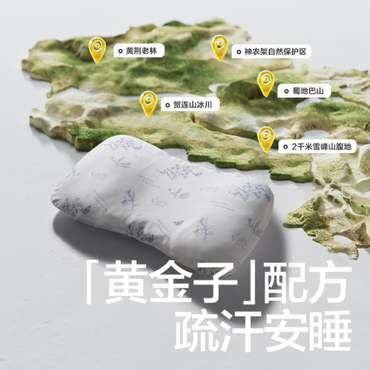 【babycare好物集】babycare分阶护颈黄金枕宝宝6月-3岁-6岁抗菌排汗儿童枕头婴儿枕 商品图1