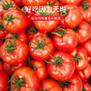 2023【新疆】普罗旺斯沙瓤西红柿（节假日不发） 商品缩略图2