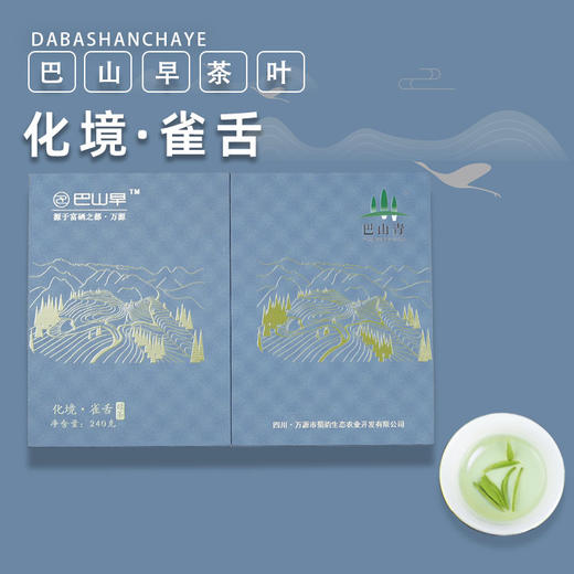 巴山早2024春茶明前精选特级雀舌绿茶240g礼盒装富硒之都万源高山雀舌特级茶叶 商品图0