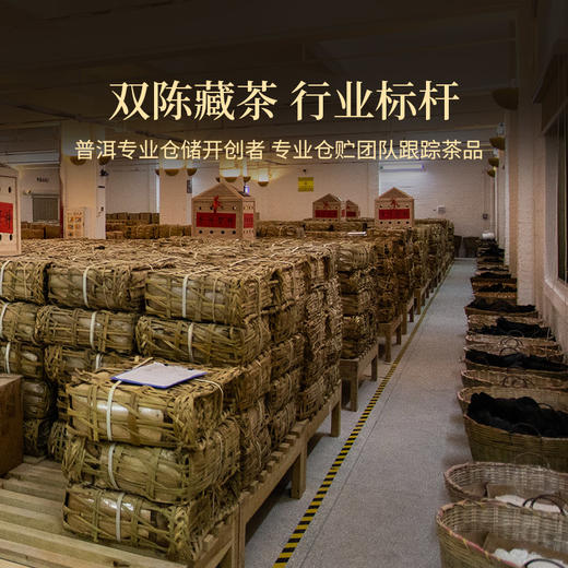 双陈普洱2022年保塘古树春茶云南普洱生茶 商品图5