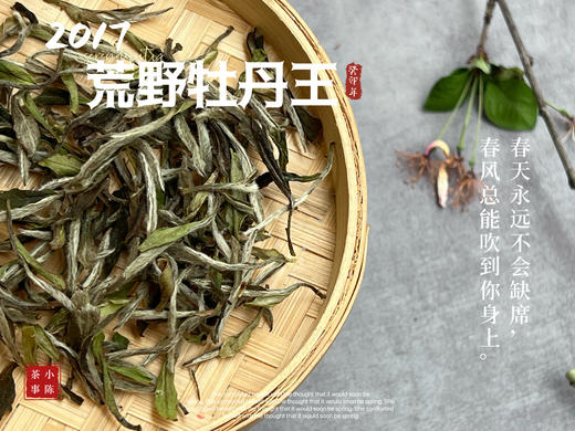 【会员特供】6年陈2017荒野牡丹王香远益清，亭亭静植，时隔多年再次出炉 商品图2