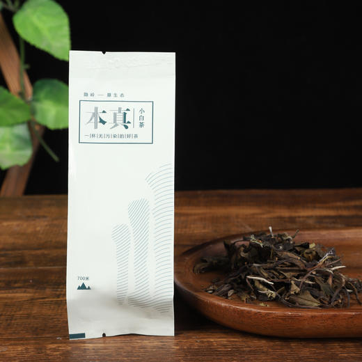 隐岭单泡试饮 商品图4