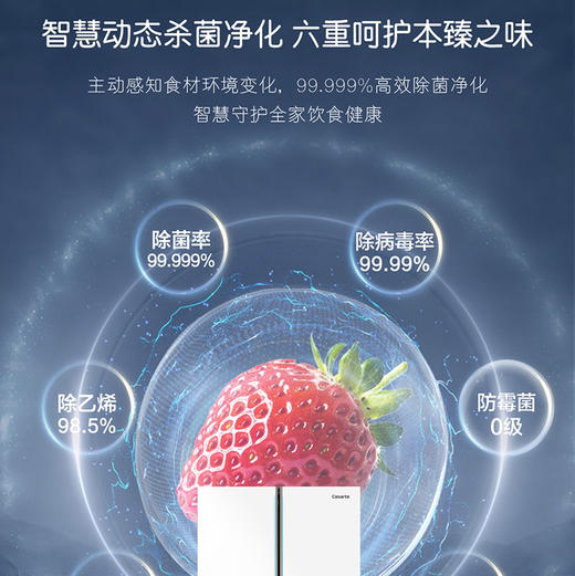 卡萨帝（Casarte）冰箱 BCD-505WGCFDM4WKU1 商品图8