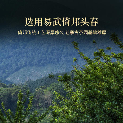 双陈普洱2022年倚邦古树春茶生茶普洱茶茶叶 商品图2