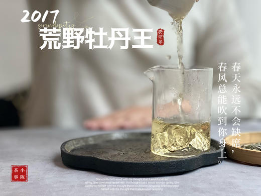 【会员特供】6年陈2017荒野牡丹王香远益清，亭亭静植，时隔多年再次出炉 商品图6