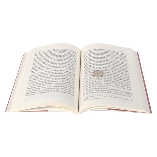 主内文学 —《红字》 世界文学名著 无删节原版原著中文版文 商品图4