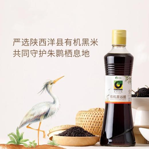 有机黑谷醋 | 配料纯净 绵密酸爽 酵香纯正  拌炒蘸均可 | 公平贸易 * Organic Black valley vinegar 商品图2