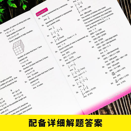 新加坡数学全解6（中+英）全2册 商品图5