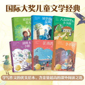 国际儿童文学经典 国际大奖系列6册