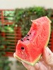 赶在夏天第一口！【4K战神西瓜】瓜肉粉红 纤维少 甜度高 水分足 唇齿生津 超过瘾！ 商品缩略图4