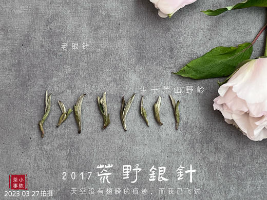 【会员特供】2017荒野银针，悠长岁月的馈赠之物 商品图4