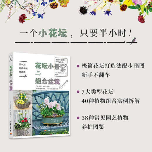 第一次打造花园就成功.花坛小景与组合盆栽 商品图1