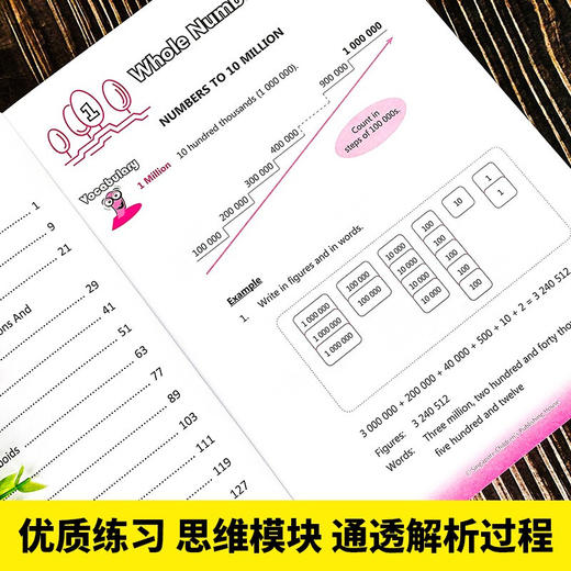 新加坡数学全解5（中+英）全2册 商品图3