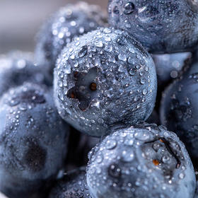 【果蔬精选】丹东•何悦说蓝莓（顺丰速运）颗颗精选 果粉浓厚 满满花青素 小浆果 大营养 新鲜看的见