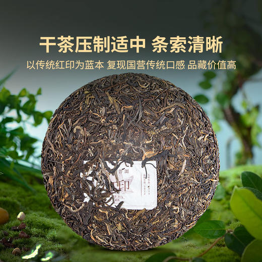 2022年红印圆茶生茶357g饼茶 商品图3