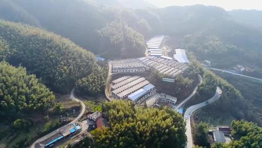 黑猪肉｜独立满150元包邮｜周二发 商品图9