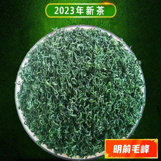 安顺普定【朵贝贡茶】毛峰茶/扁翠/翠芽  多种规格选择  全国包邮（五区不发货） 商品图0