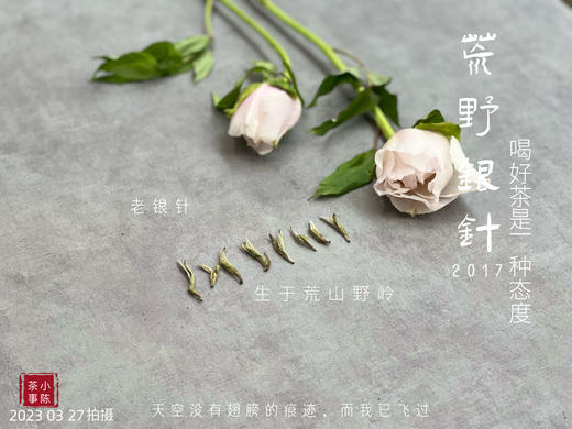 【会员特供】2017荒野银针，悠长岁月的馈赠之物 商品图5