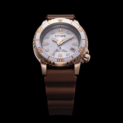 西铁城/CITIZEN运动潜水PROMASTER系列光动能女表EO2022-02A 商品图10
