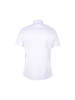 callisto白色全棉短袖衬衫 SSSTS086C 商品缩略图2