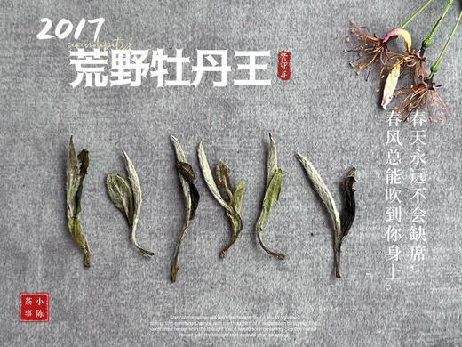 【会员特供】6年陈2017荒野牡丹王香远益清，亭亭静植，时隔多年再次出炉 商品图3